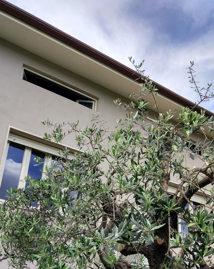 루카 La Locanda Francigena B&B 외부 사진