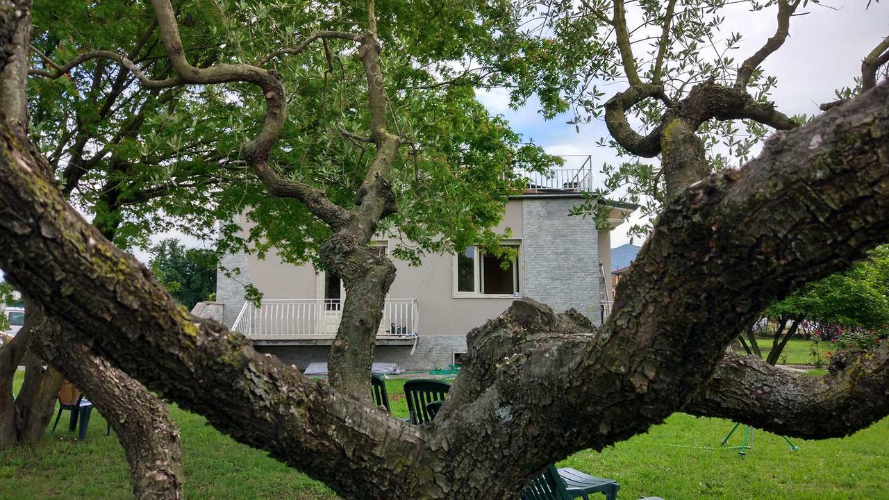 루카 La Locanda Francigena B&B 외부 사진